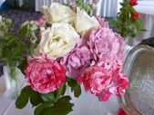 Enlarge photo 32