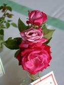 Enlarge photo 34