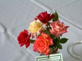 Enlarge photo 35