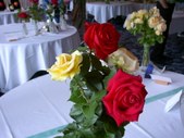 Enlarge photo 37
