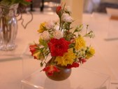 Enlarge photo 63