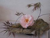 Enlarge photo 27