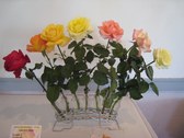 Enlarge photo 35