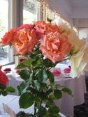 Enlarge photo 37