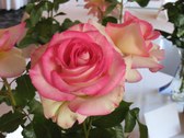 Enlarge photo 39