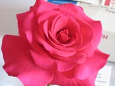 Enlarge photo 51