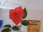 Enlarge photo 54