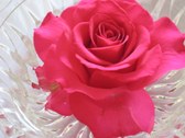 Enlarge photo 56