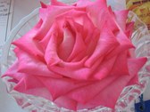 Enlarge photo 57