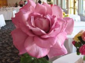 Enlarge photo 64