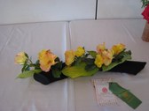 Enlarge photo 16