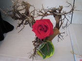 Enlarge photo 12