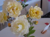 Enlarge photo 188