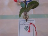 Enlarge photo 231