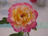 Enlarge photo 245