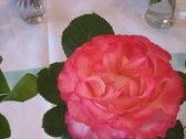 Enlarge photo 255
