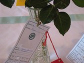 Enlarge photo 256