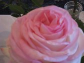 Enlarge photo 310