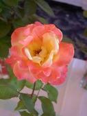 Enlarge photo 34