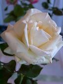Enlarge photo 46