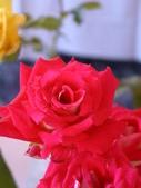Enlarge photo 52