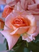 Enlarge photo 54