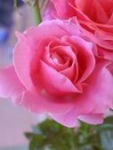 Enlarge photo 57