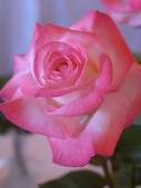 Enlarge photo 58