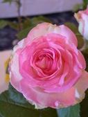Enlarge photo 59