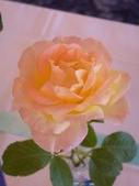 Enlarge photo 62