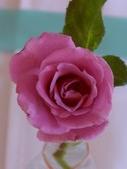 Enlarge photo 66