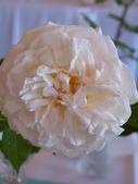 Enlarge photo 67