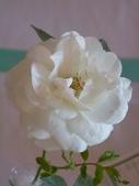 Enlarge photo 72