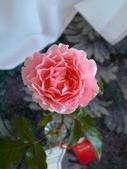 Enlarge photo 77