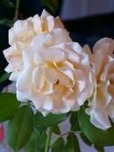 Enlarge photo 78