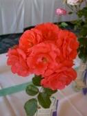 Enlarge photo 79