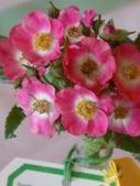 Enlarge photo 92