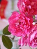 Enlarge photo 93