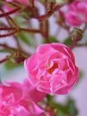 Enlarge photo 94