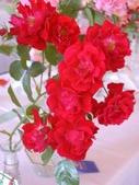 Enlarge photo 96