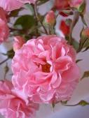 Enlarge photo 97