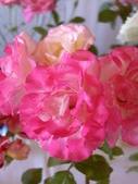 Enlarge photo 99