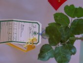 Enlarge photo 117