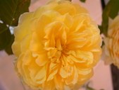 Enlarge photo 128