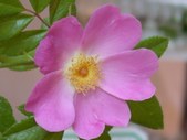 Enlarge photo 146