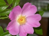 Enlarge photo 147