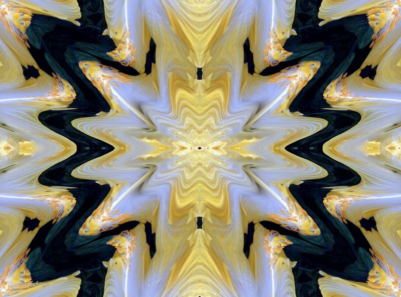 Return to Album