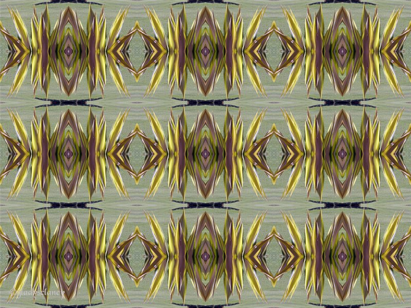 Return to Album
