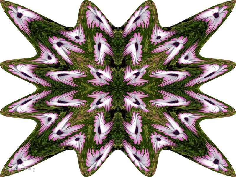 Return to Album