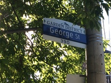 George Street North of Dundas
